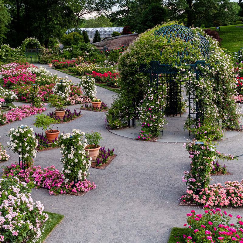 Photo credit: Courtesy New York Botanical Garden