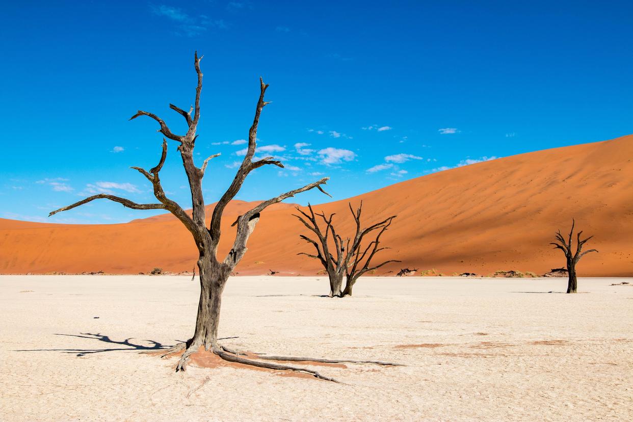 Deadvlei in Namibia