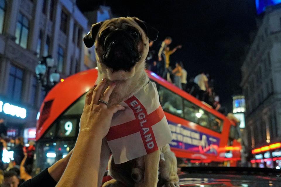 A patriotic pooch gets in on the action in central London. 