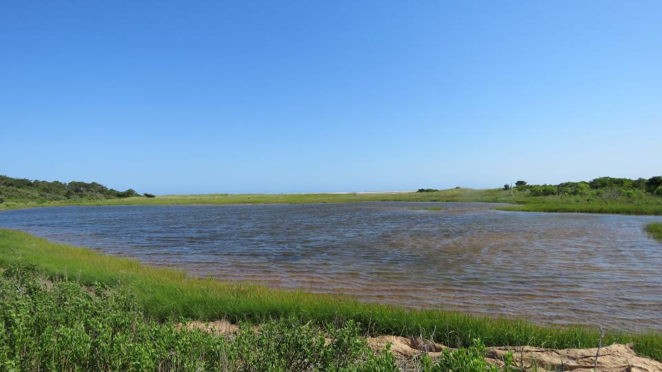 Gusting winds ruffle a scenic pond at the Monomoy National Wildlife Refuge in Chatham.