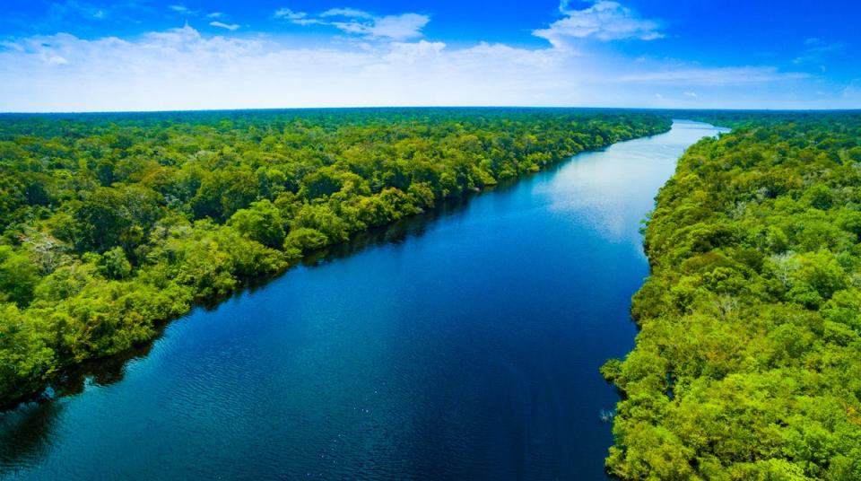 The Amazon basin has an area of around 2.7 million square miles (Getty Images/iStockphoto)