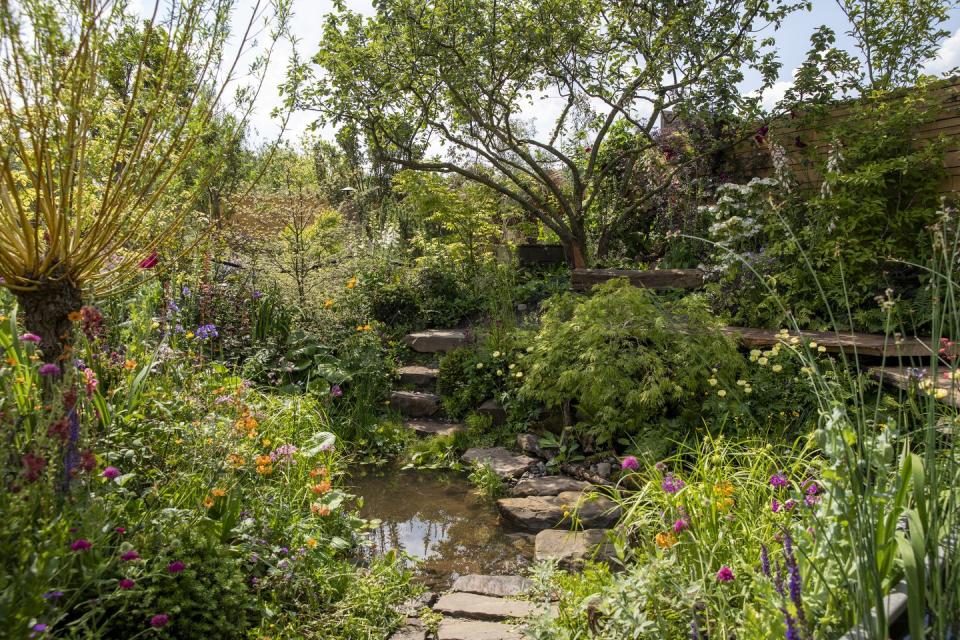 chelsea flower show 2024 sanctuary gardens designs