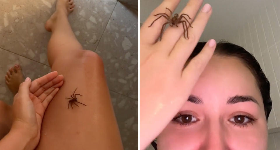 Huntsman spider crawling on the leg of OnlyFans star Anna Paul; Anna holding up the spider