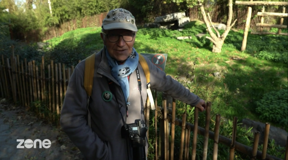 Ce passionné de pandas vient photographier ses animaux préférés tous les jours à Pairi Daiza.