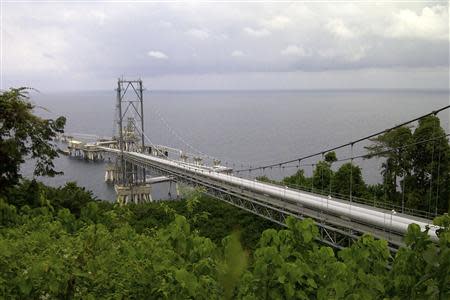 A general view of the world's first Liquefied Natural Gas (LNG) pipe rack suspension bridge in Punta Europa February 5, 2014. REUTERS/Pascal Fletcher