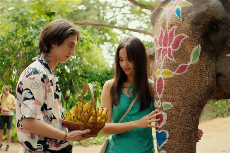 《分期付款愛上你》觀眾可以透過本片，一窺泰國東芭樂園的大象表演。（圖／采昌國際多媒體提供）