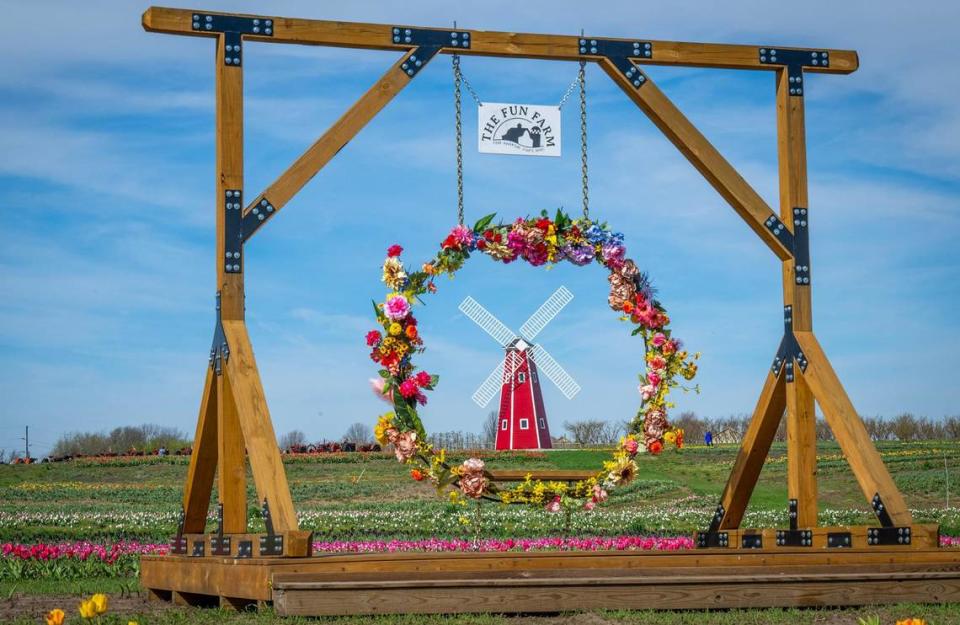 A giant windmill is framed by the flower-ensconsed swing on the opening day of the Tulip Festival at The Fun Farm.