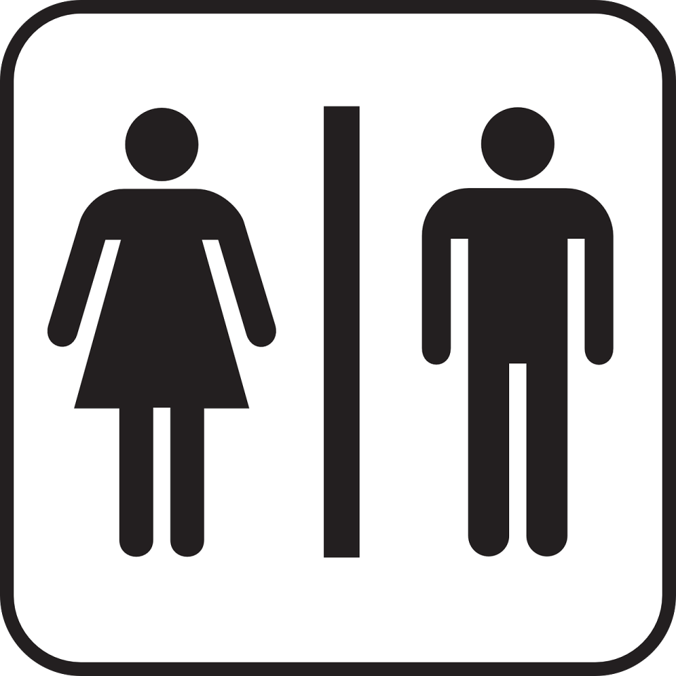 北市環保局預告「台北市公廁環境衛生管理自治條例」草案，規定公廁未來應有衛生紙、掛勾、加蓋垃圾桶等。（圖取自Pixabay）