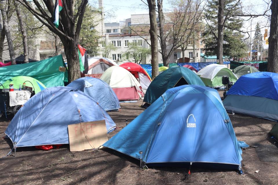The protestors have put up dozens of tents since the demonstrations started