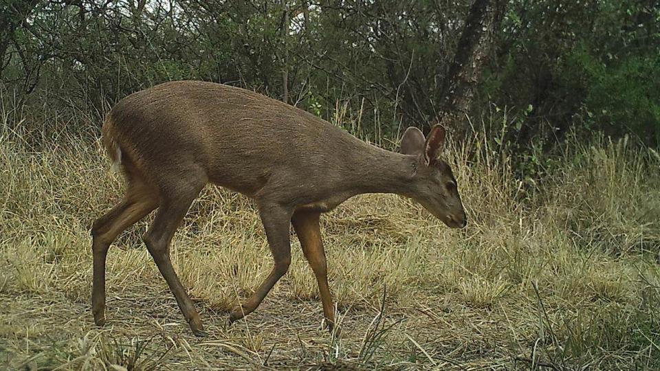 (FOTOS) La estancia más grande de Sudamérica se convertirá en parque nacional