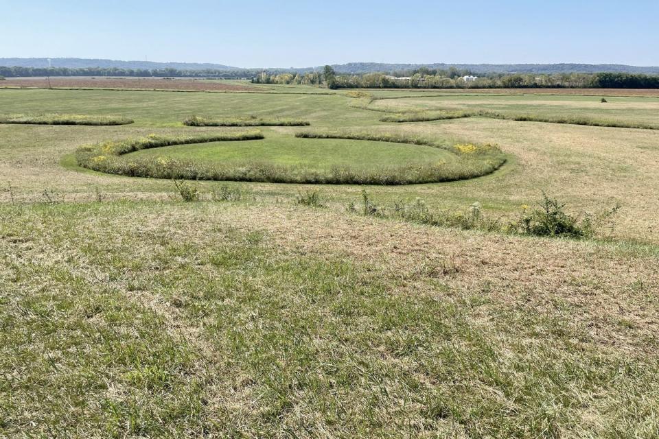 The Hopeton Earthworks, a subtle set of lines on a green lawn.