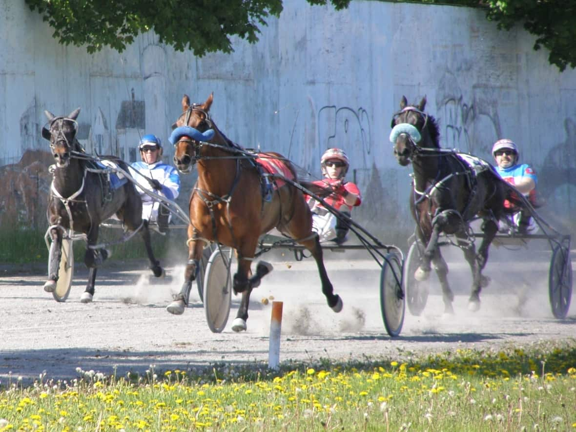 An organized harness-racing event was held on the race track at the New Brunswick Provincial Exhibition grounds last Saturday, an event that was organized without the knowledge of exhibition board member and Coun. Jocelyn Pike. (Fredericton Raceway/Facebook - image credit)