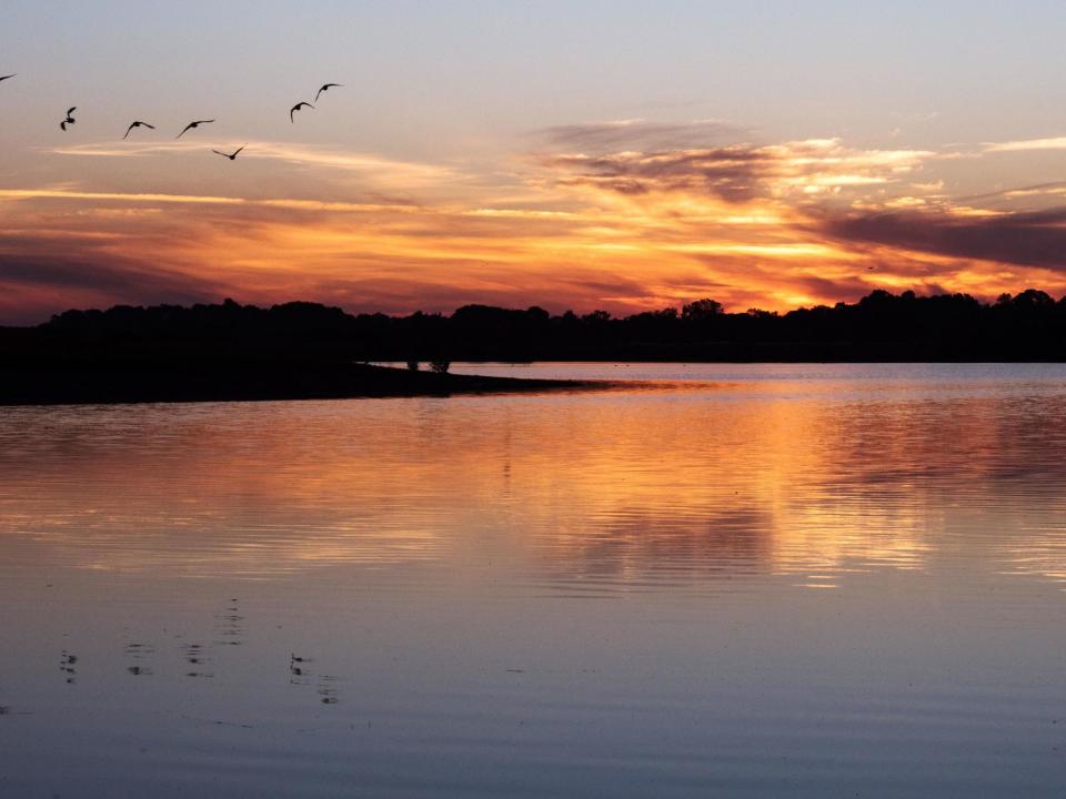 The sun rises over Kilvington Lakes in Leicestershire on 31 July, 2020, which the Met Office predicts will be the warmest day of the year so far: Neil Squires/PA Wire