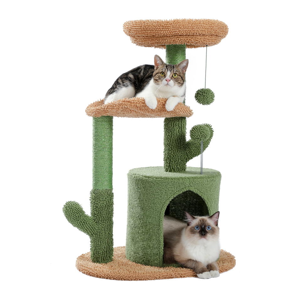 <p><a href="https://go.redirectingat.com?id=74968X1596630&url=https%3A%2F%2Fwww.walmart.com%2Fip%2FPAWZ-Road-32-Cat-Tree-Tower-with-Cactus-Sisal-Scratching-Posts-for-Indoor-Small-Cats-Green%2F492533686&sref=https%3A%2F%2Fwww.countryliving.com%2Flife%2Fkids-pets%2Fg43893772%2Fwalmart-national-pet-month-sale-may-2023%2F" rel="nofollow noopener" target="_blank" data-ylk="slk:Shop Now;elm:context_link;itc:0;sec:content-canvas" class="link ">Shop Now</a></p><p>Cat Tree Tower with Cactus Scratching Posts</p><p>$39.98</p><p>walmart.com</p>