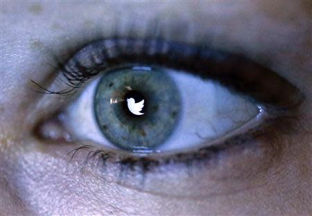 An illustration picture shows the Twitter logo reflected in the eye of a woman in Berlin, November 7, 2013. REUTERS/Fabrizio Bensch