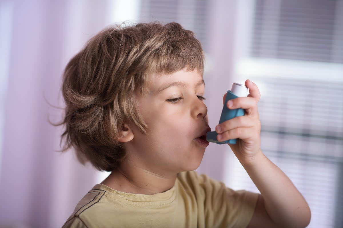 Asthma attacks could spike as school returns (Alamy/PA)