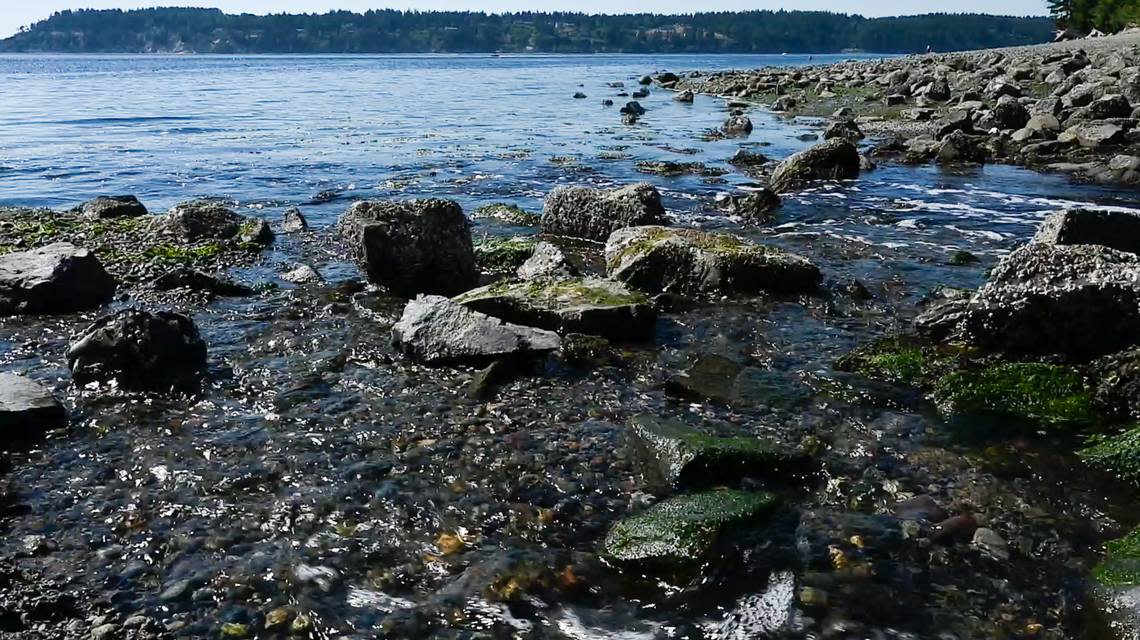 Water is pulled towards the Puget Sound during low tide on Tuesday, July 9, 2024 at Titlow Beach in Tacoma.