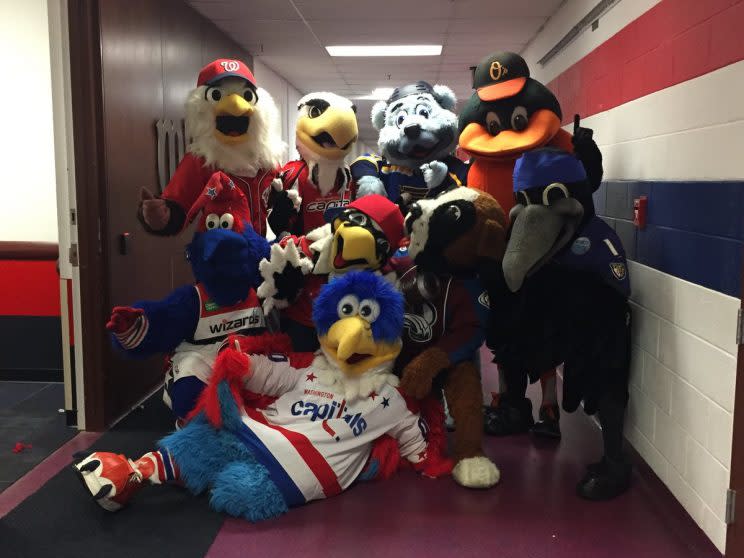 Slapshot-Washington Capitals Mascot