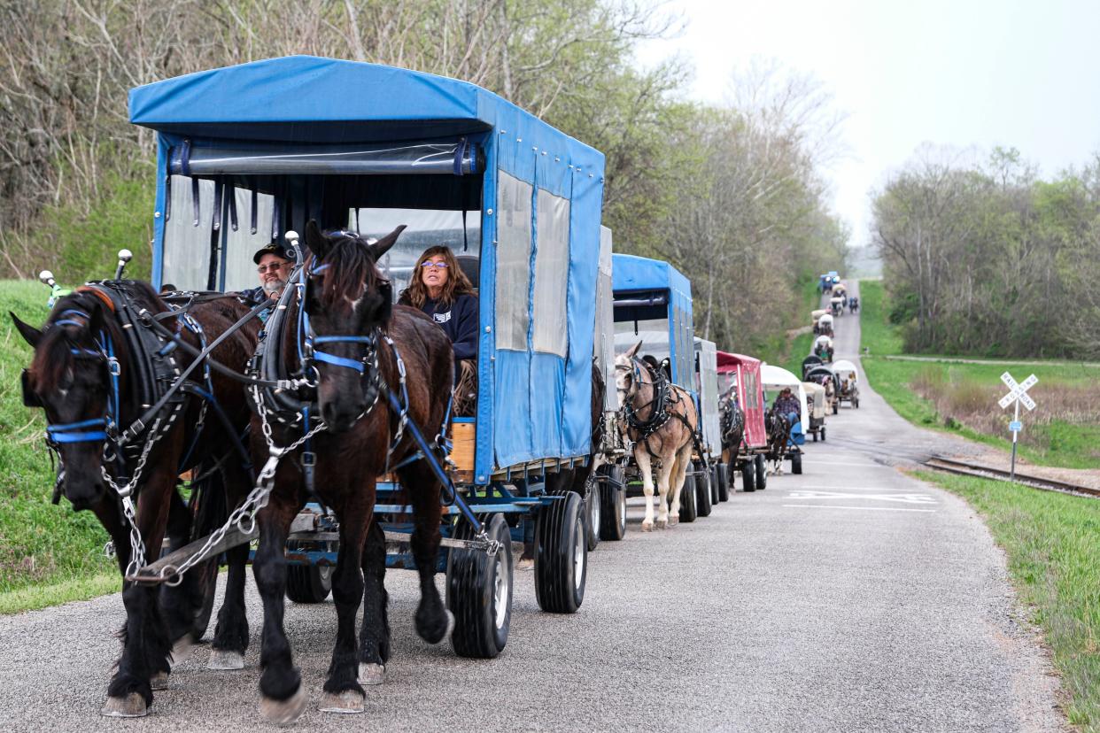 The Mule Day Wagon Train heading down Hick Lane on the way to Maury County Park in Maury County on April 3.