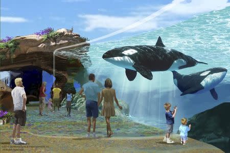 An artist's rendering of Sea World's new killer whale habitat expansion project, Blue World, is shown in this handout provided by Sea World, September 25, 2015. REUTERS/Sea World/Handout