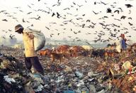 <p>India being one of the fastest developing nations and leader of the new age global scenario took aggressive steps to curb waste and regulate efficient waste management systems. </p>