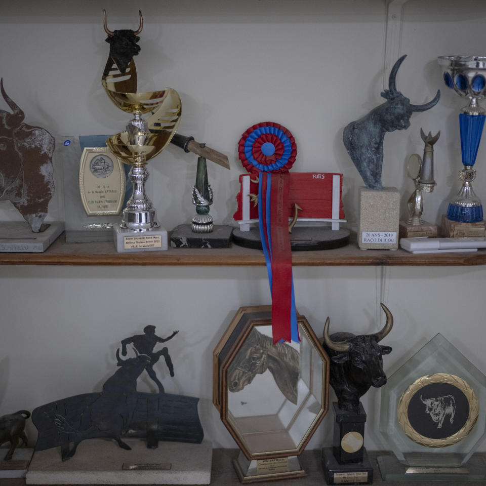 A cockade representing the colors of the Raynaud family sits amongst a collection of trophies awarded for triumphs of the ranch’s bulls in a form of local bullfighting in Camargue, southern France, Oct. 19, 2022. (AP Photo/Daniel Cole)