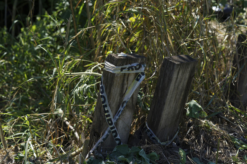 Old security ribbons that say "prohibited" in Spanish wrap around a stump in an area where missing people are suspected to have been buried, during the sixth National Search Brigade for disappeared people at a cemetery in Jojutla, Mexico, Monday, Oct. 11, 2021. The government's registry of Mexico’s missing has grown more than 20% in the past year and now approaches 100,000. (AP Photo/Fernando Llano)