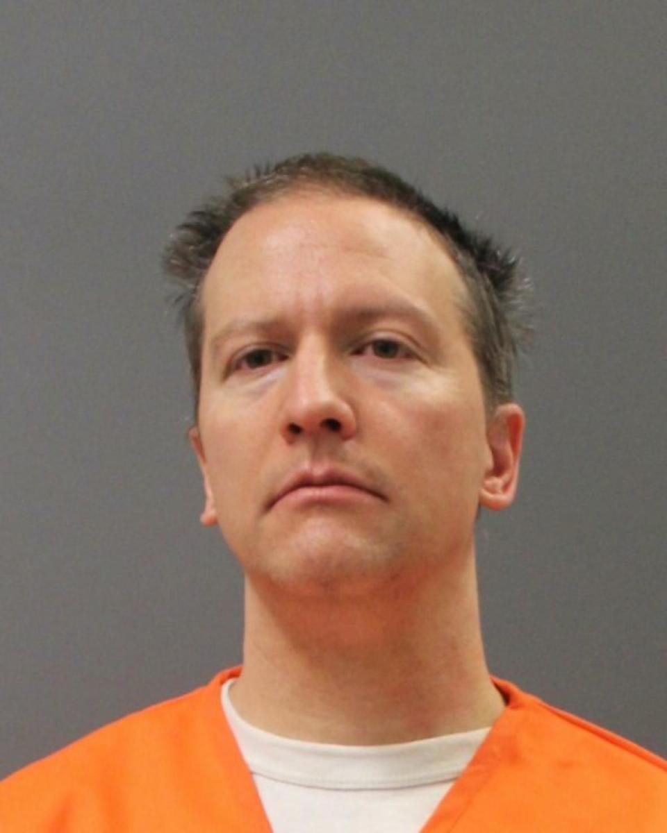 Derek Chauvin poses in new mugshot