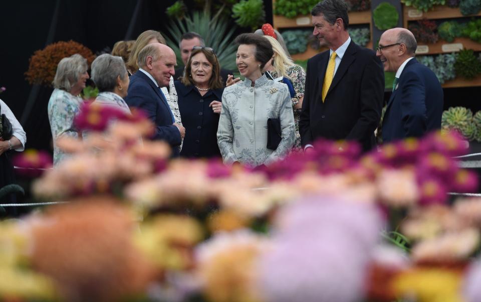 The Princess Royal paid a visit to the Chelsea Flower Show on Monday, a day before it opens to the public - Eddie Mulholland - WPA Pool/Getty Images