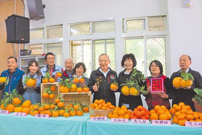 苗栗縣獅潭鄉推銷農產草莓、柑橘，將在1月23、24日於新店村義民廟前廣場舉辦「橘莓戀」農產品促銷活動。（巫靜婷攝）