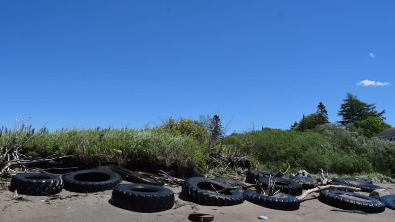 Tire graveyard: how one group's attempt to save the land resulted in a rubber-filled burial ground