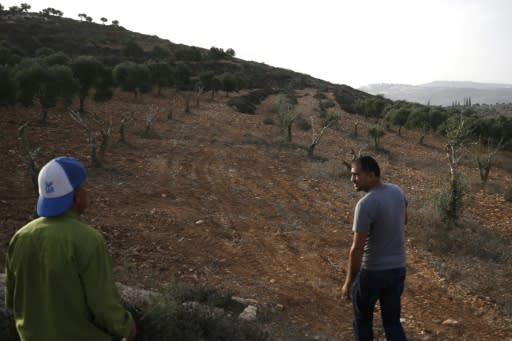 Palestinian farmer Mahmud Abu Shinar said that in recent weeks around 200 trees had been destroyed in fields he works on near Ramallah. Israeli settlers say that their crops have also been damaged by Palestinians