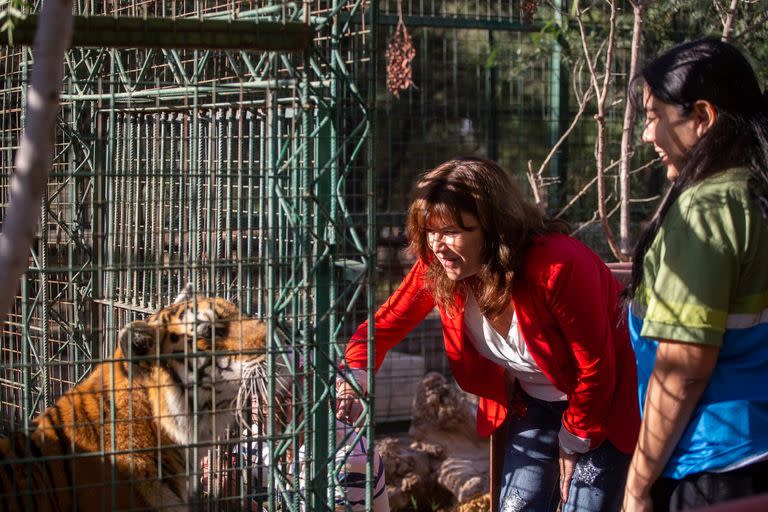 Inés Brizuela y Doria  y Laura Agüero, junto a las ligres que serán trasladadas a un santuario en Entre Ríos