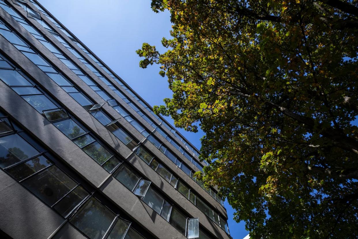 A new report from Metro Vancouver says the pace of development across the region will most likely shrink its tree canopy cover, despite a goal to increase it to 40 per cent by 2050. (Ben Nelms/CBC - image credit)