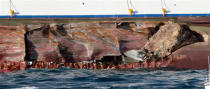 Rocks emerge from the damaged side of a luxury cruise ship Costa Concordia that run aground the tiny Tuscan island of Giglio, Italy, Saturday, Jan. 14, 2012. A luxury cruise ship ran aground off the coast of Tuscany, sending water pouring in through a 160-foot (50-meter) gash in the hull and forcing the evacuation of some 4,200 people from the listing vessel early Saturday, the Italian coast guard said. (AP Photo/Gregorio Borgia)