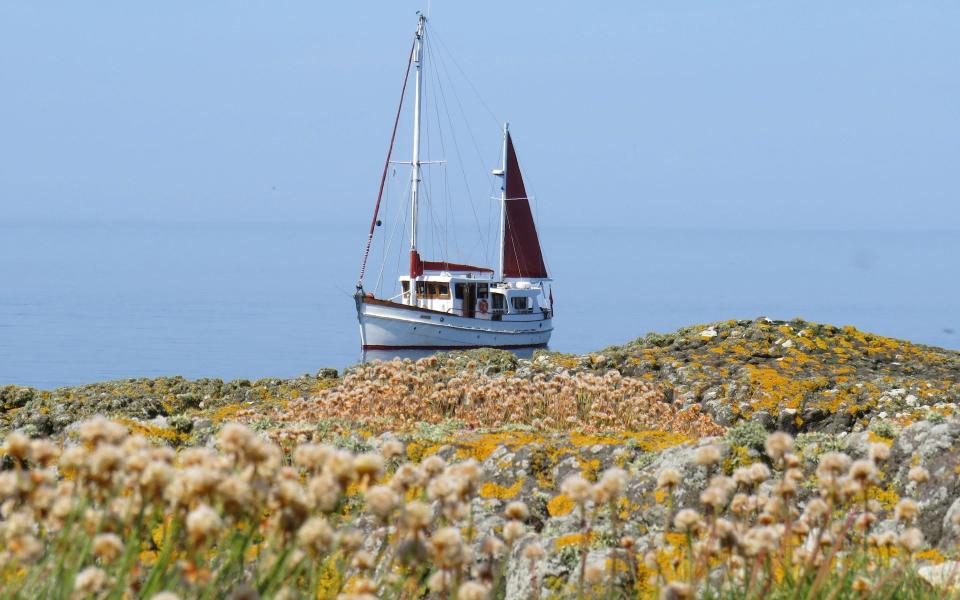 Red Moon can carry up to four passengers 