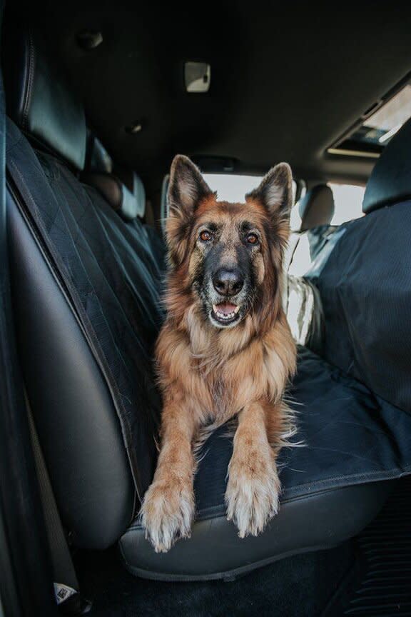 Grip-Tight Microfiber Dog Backseat Protector