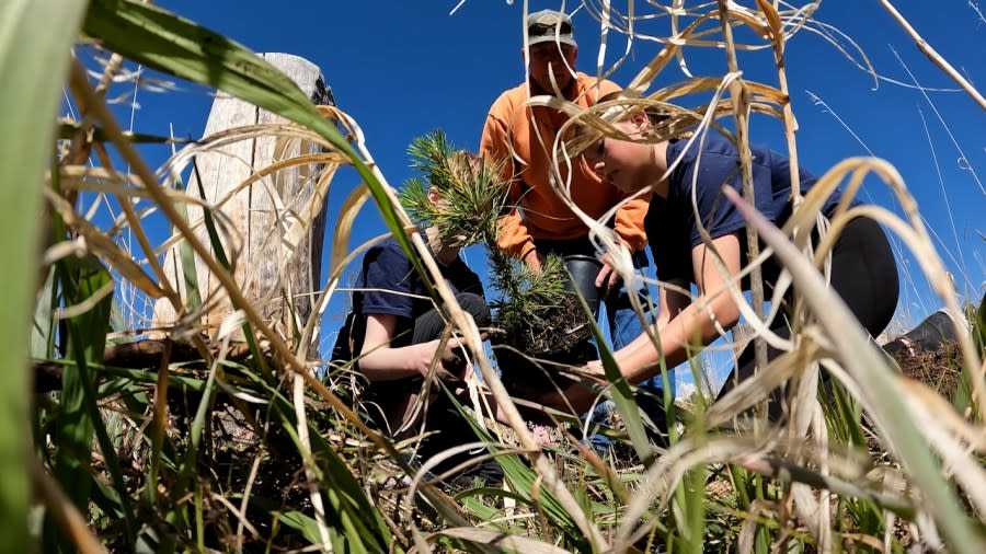 Students were instructed by a member of the Colorado State Forest Service on how to properly plant their trees.