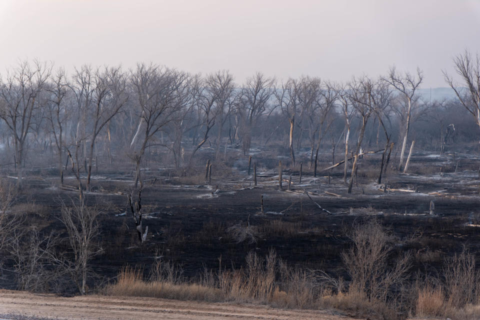 Area near Highway 60 in Roberts County still smoldering Wednesday from the Smokehouse Creek Fire.