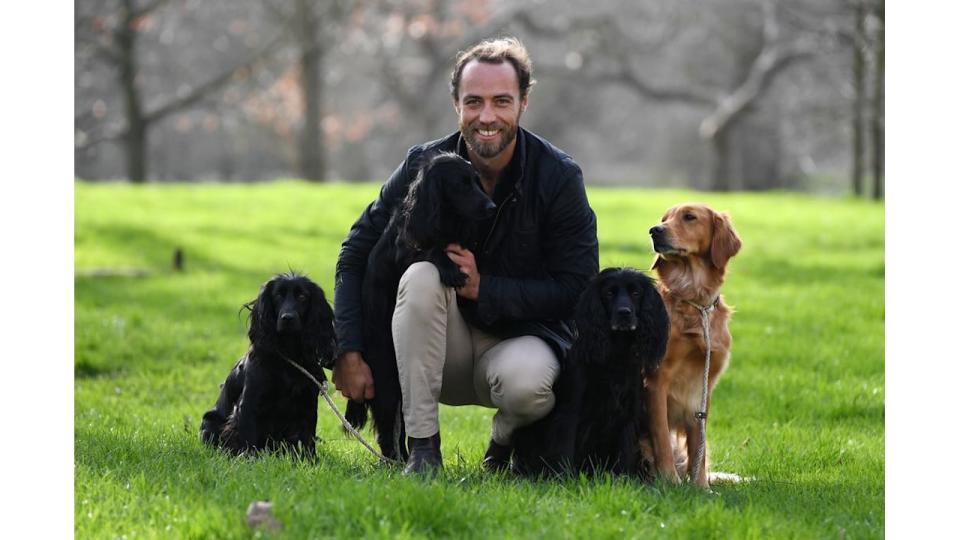 James Middleton with four dogs