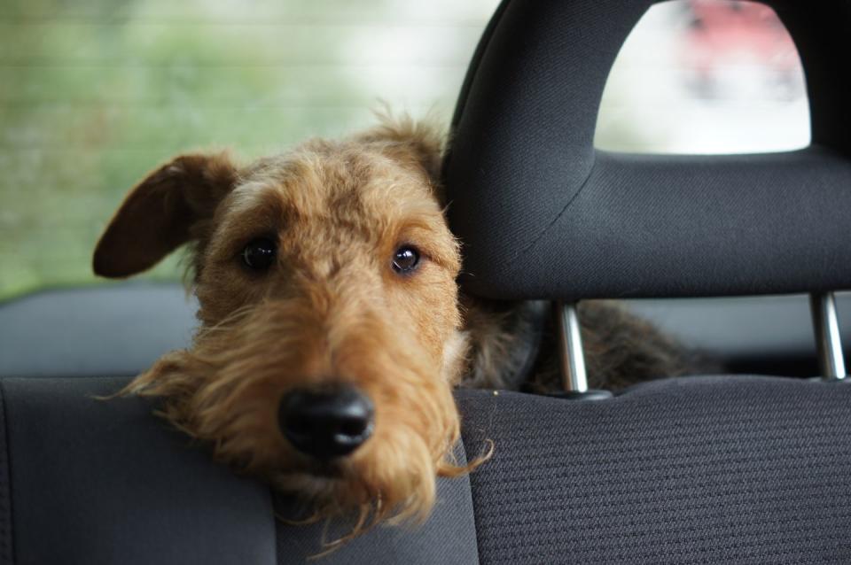 Clean the car without a vacuum.