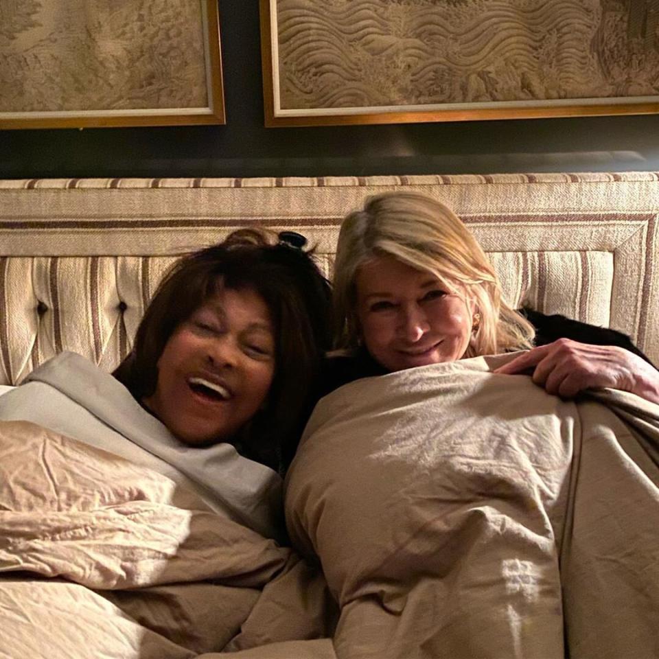 Tina Turner and Martha Stewart