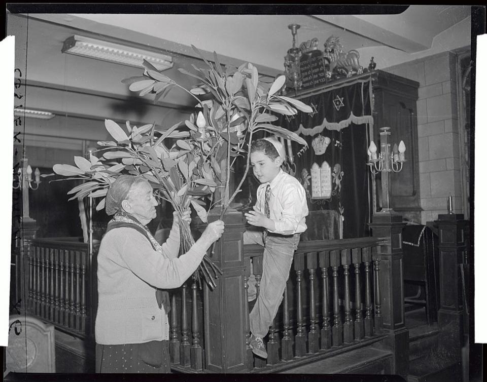 <span class="caption">Esther Zolkowitz, 90, passes green branches imported from Israel to 7-year-old Allen Mayer as they decorate a synagogue for Shavuot in 1952.</span> <span class="attribution"><a class="link " href="https://www.gettyimages.com/detail/news-photo/tomorrow-at-sundown-begins-the-traditional-holiday-of-news-photo/516560616?adppopup=true" rel="nofollow noopener" target="_blank" data-ylk="slk:Bettmann/Bettmann via Getty Images;elm:context_link;itc:0;sec:content-canvas">Bettmann/Bettmann via Getty Images</a></span>
