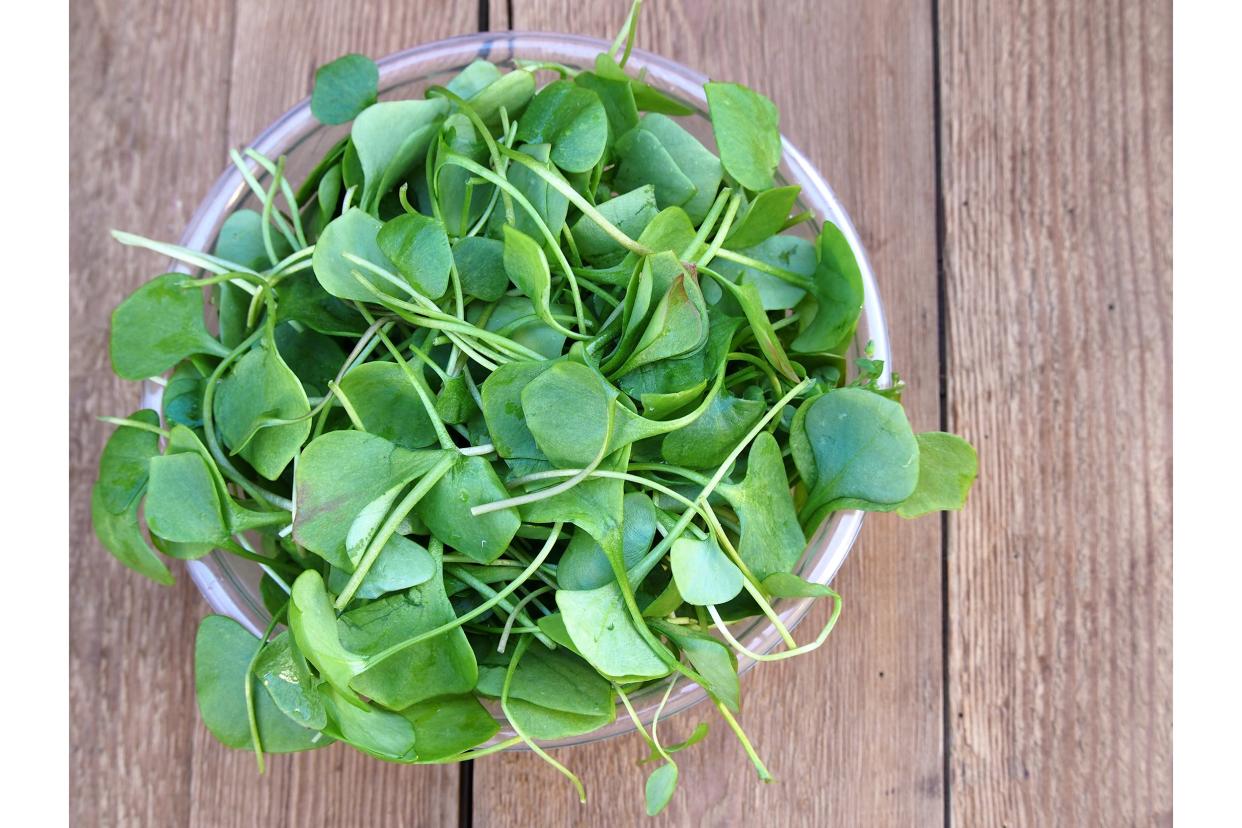 Watercress