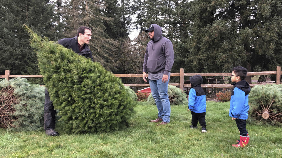 FILE - In this Nov. 29, 2018, file photo, Tommy Lee, a sixth-generation tree farmer at Lee Farms in Tualatin, Ore., helps Jason Jimenez and his sons carry the Douglas fir they selected off the tree lot. While the holiday season is a time of giving and thoughtfulness, it can also be a time of excess and waste. Americans throw away 25 percent more trash than usual between Thanksgiving and New Year’s, that’s about a million extra tons of garbage each week, according to the National Environmental Education Foundation (NEEF), a Washington, D.C.-based nonprofit group devoted to helping people to be more environmentally responsible. For holiday decorations, the Environmental Protection Agency recommends opting for a living tree that can be planted outdoors or eventually mulched. (AP Photo/Gillian Flaccus, File)