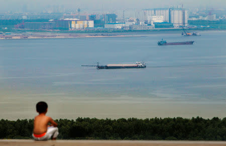 FILE PHOTO: A boy looks at cargo ships passing along the Pearl River in Guangzhou, Guangdong province, August 6, 2014. REUTERS/Alex Lee/File Photo