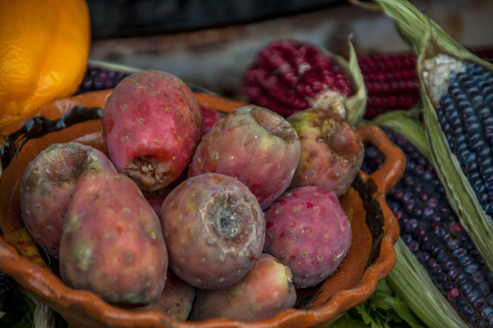 Xoconostle, una fruta prehispánica que se utiliza en estofados como el mole de Olla receta de México