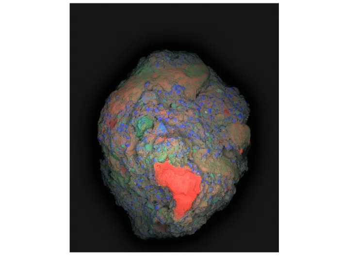 A 3D model shows a lump of concrete lit up in red blue and green. A large red lump is present at the front of the lump. The red represents calcium