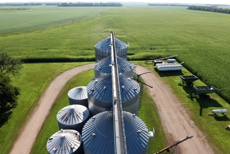 Storage bins and corn field are seen near Colfax, North Dakota