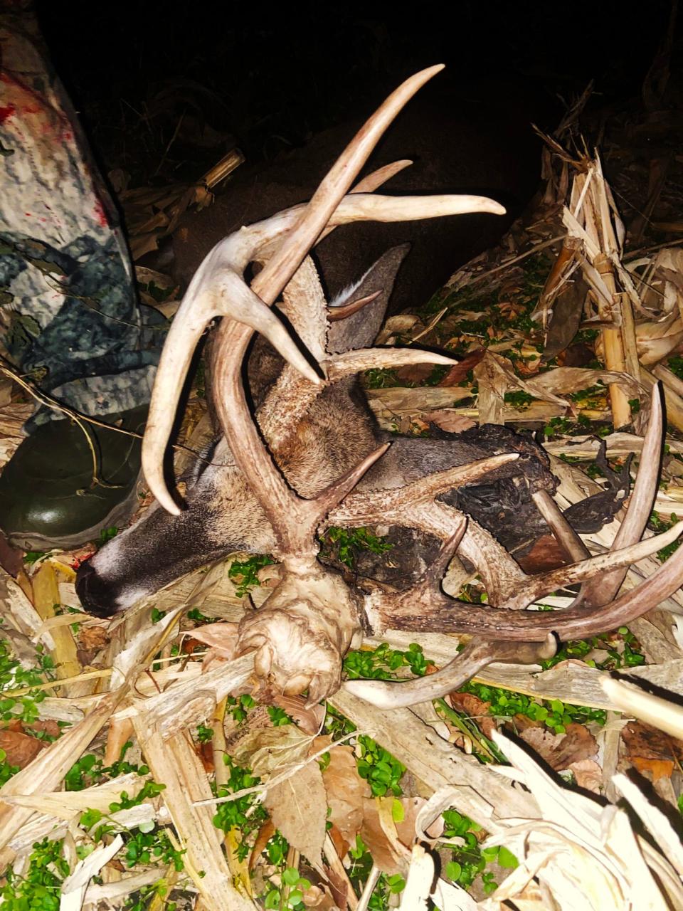 Bowhunter Mike Lewis legally harvested two antlered deer in one shot during archery season, according to MDC's post on Nov. 2, 2022..